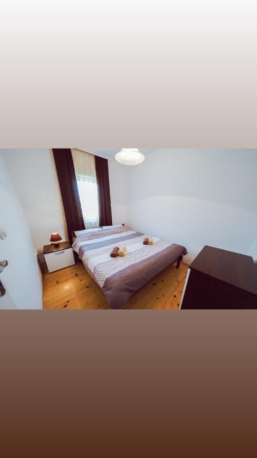 Apartmani Trajkovic ソコバニャ エクステリア 写真